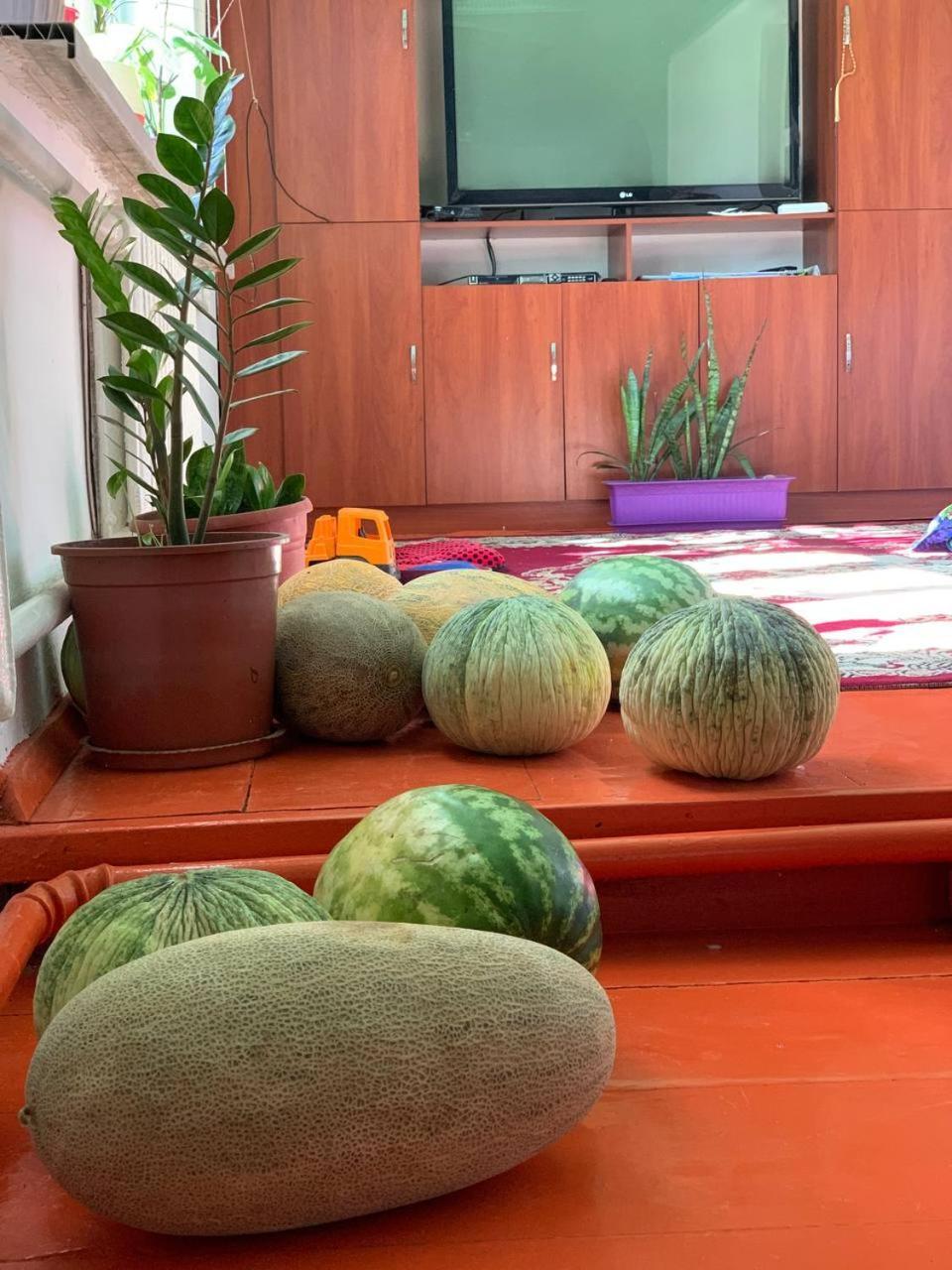 Guest House В Гостях У Лаззат Türkistan エクステリア 写真